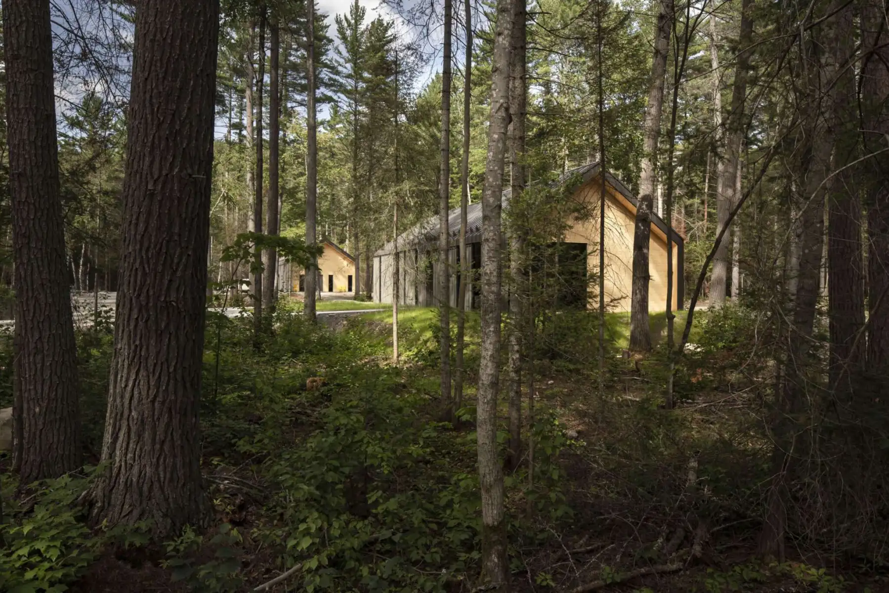 Parc national d'Opémican - Sépaq